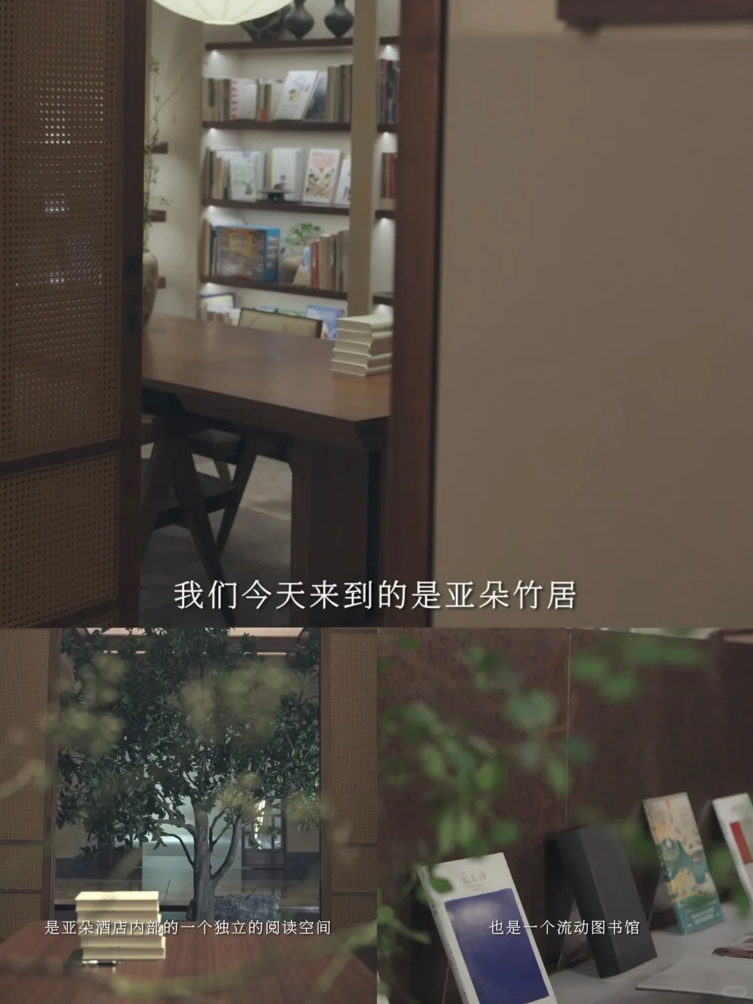 女性坚持读书的重要性在此刻具象化