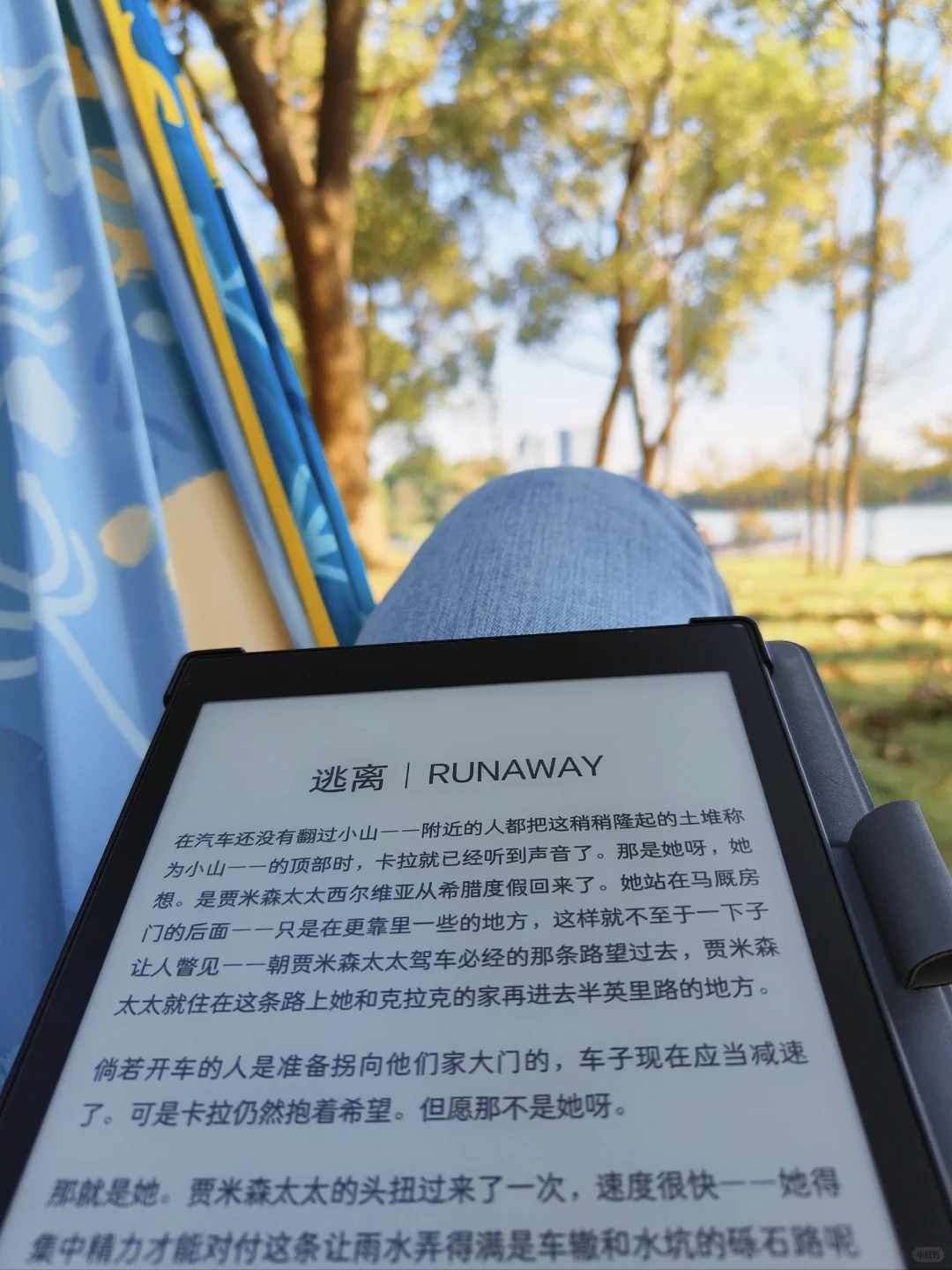 秋天一定要到户外看一次书