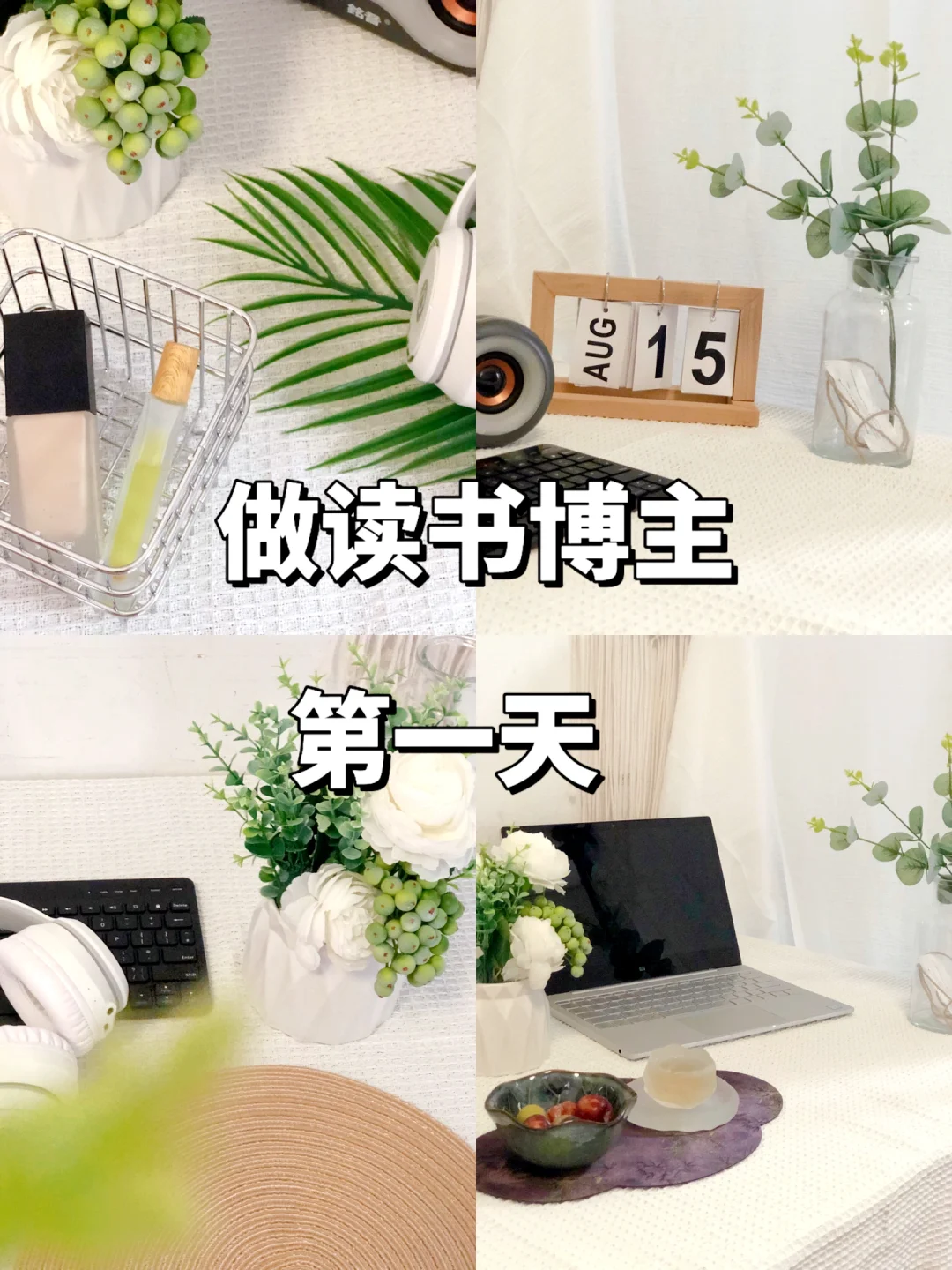 2025年，做读书博主的滴一天，请多指教