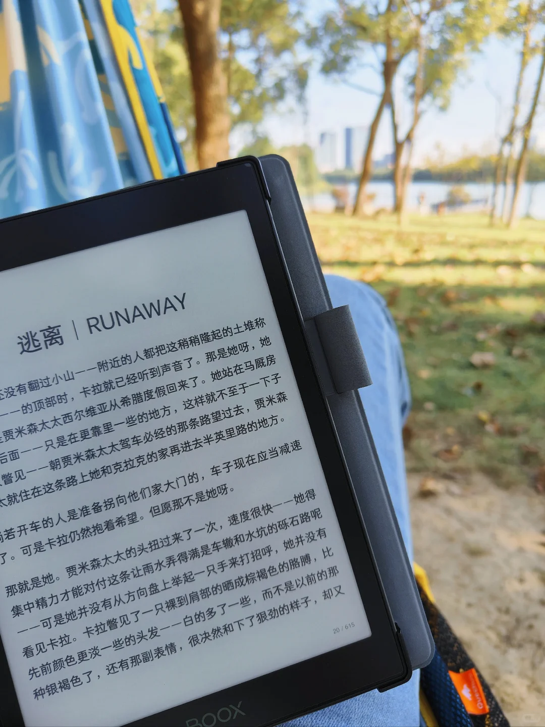 秋天一定要到户外看一次书
