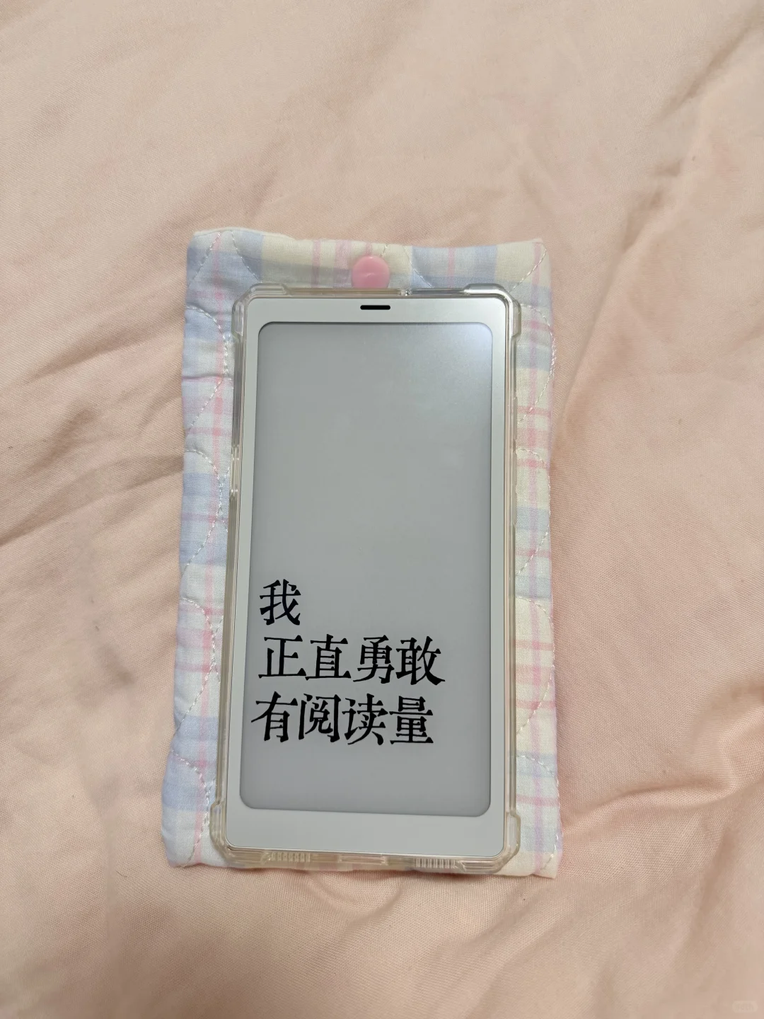 热乎乎的小白马阅读器保护袋📚