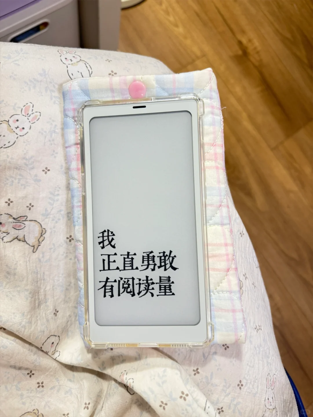 热乎乎的小白马阅读器保护袋📚