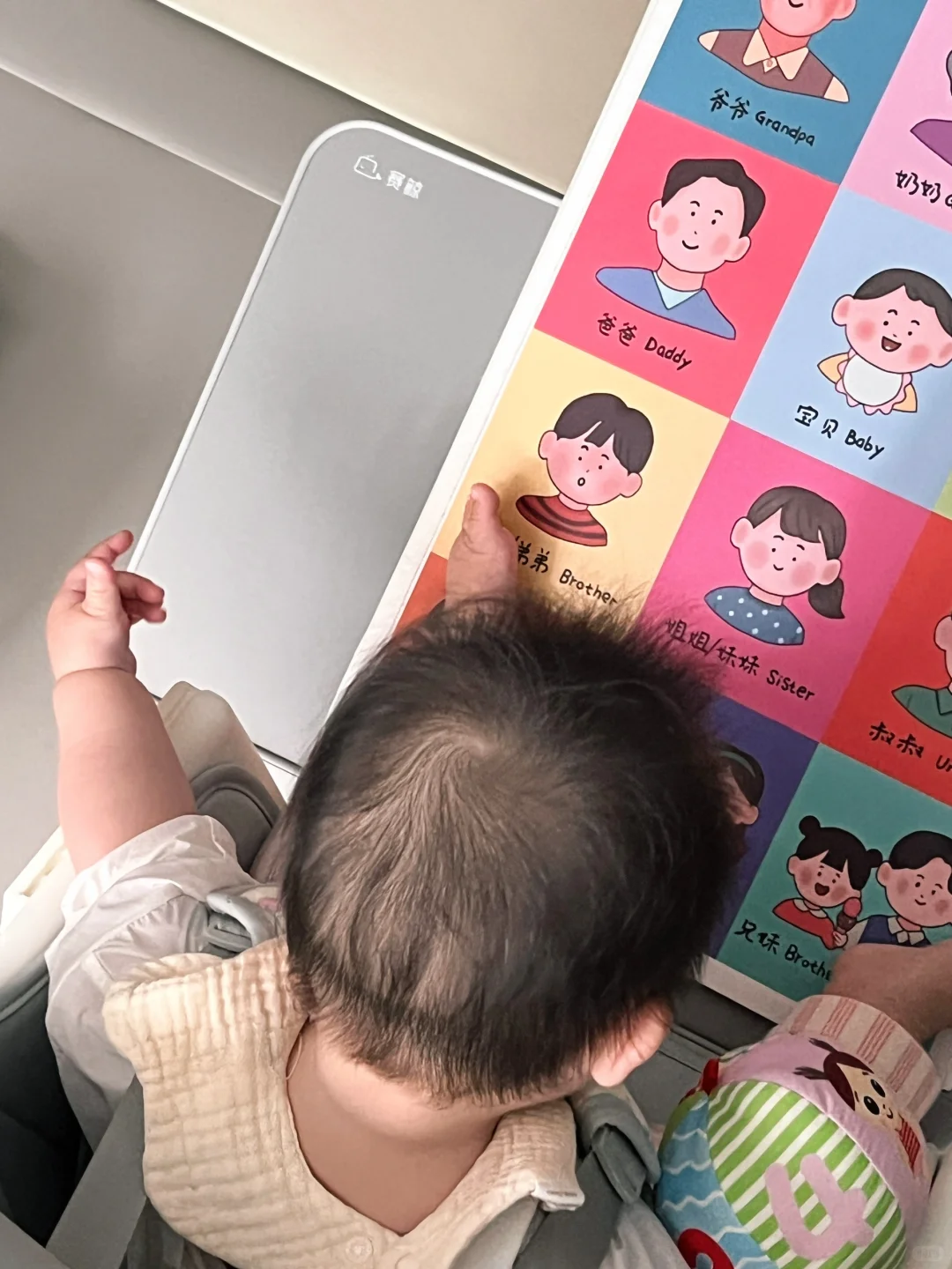 八月龄宝宝学习打卡ing📖