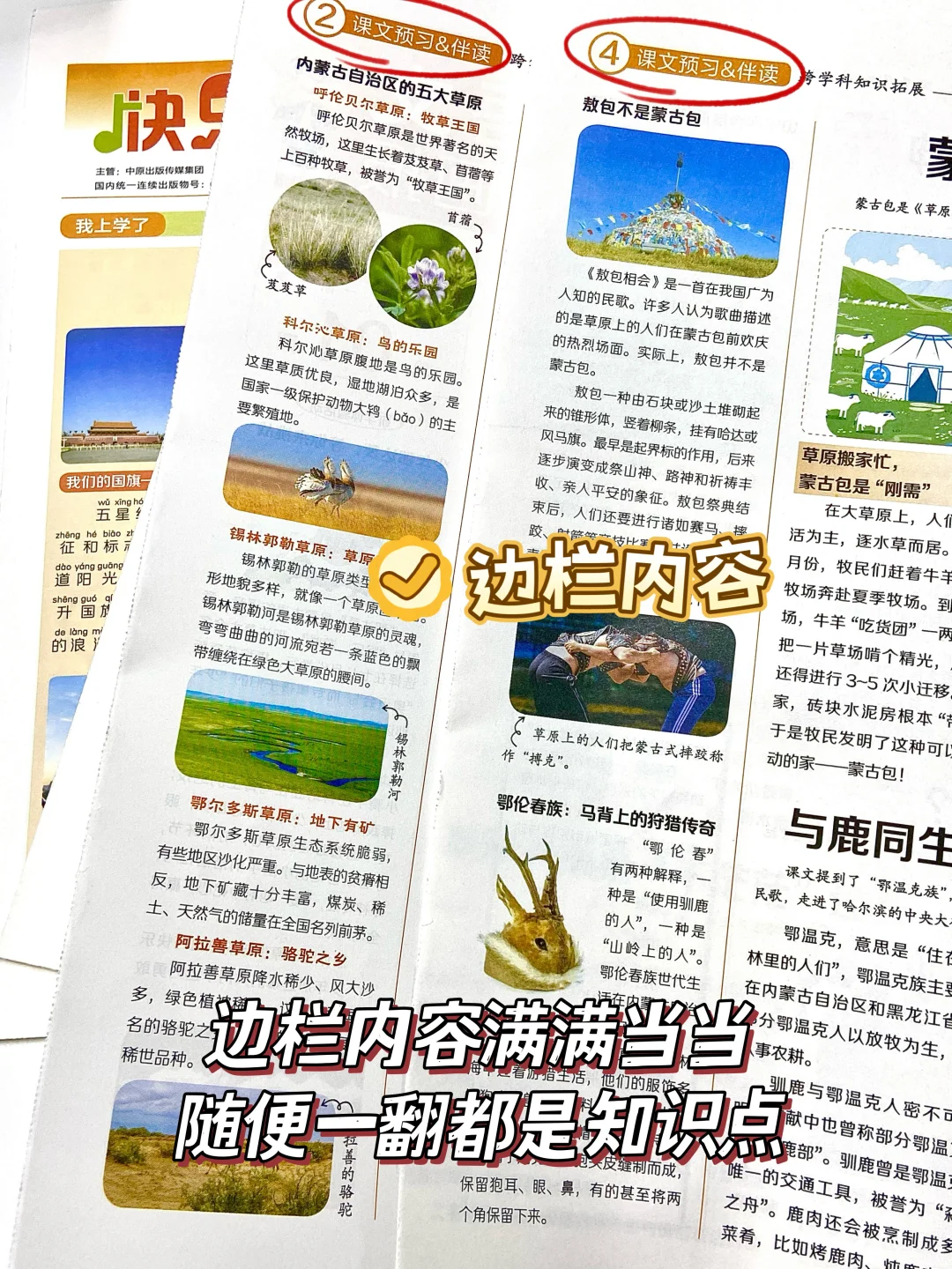 新学期必备！大语文神器，娃好喜欢~