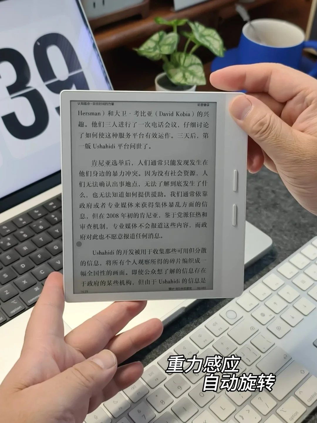 宅家日常|重拾阅读乐趣，爱上碎片时光