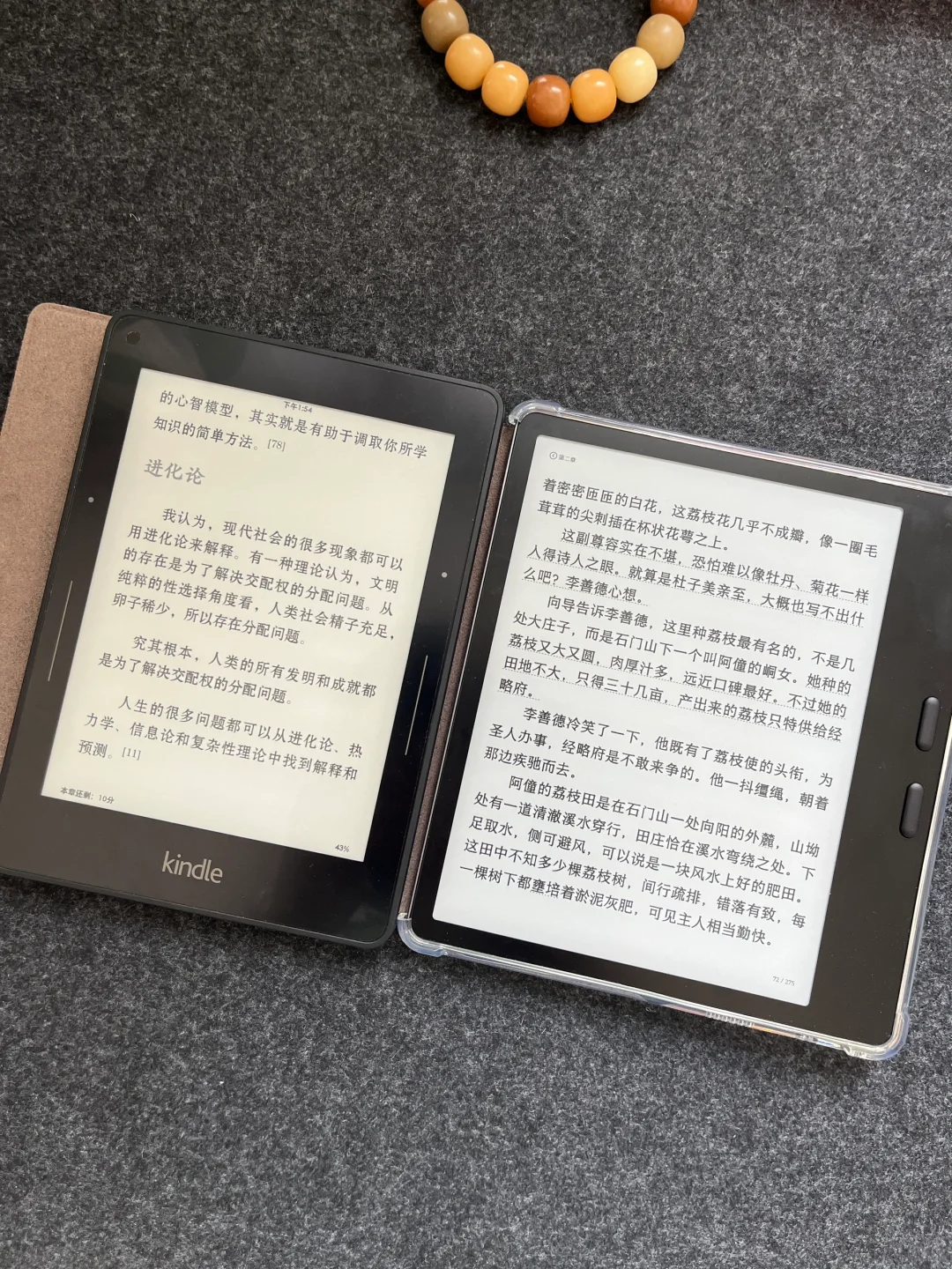 观望了很久，终于对文石leaf5下手了📖