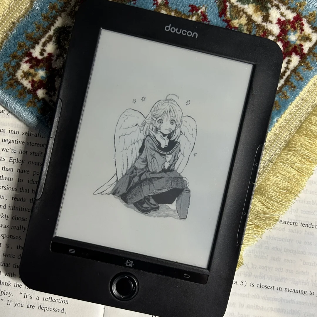俺滴新玩具📚百元阅读器