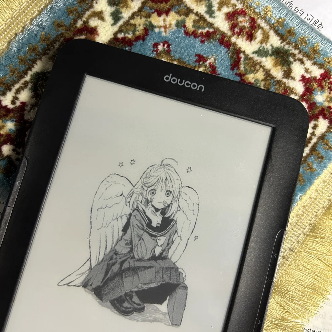 俺滴新玩具📚百元阅读器