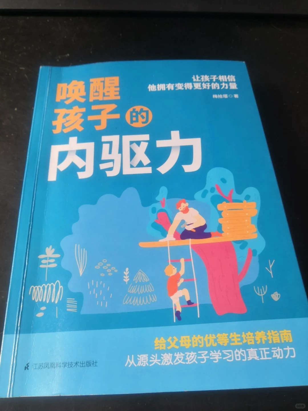 《唤醒孩子的内驱力》读书笔记