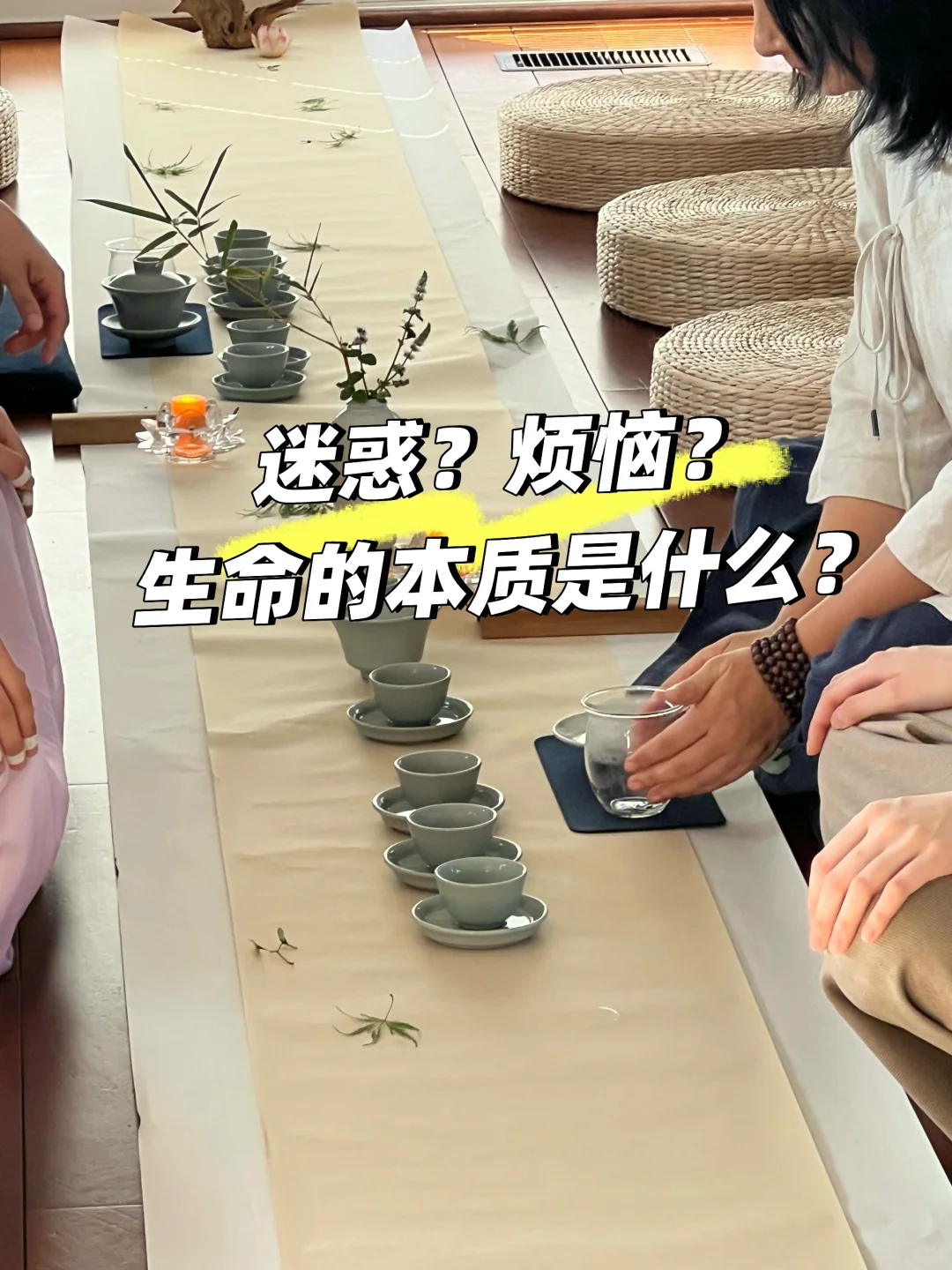 自由｜快乐的生命