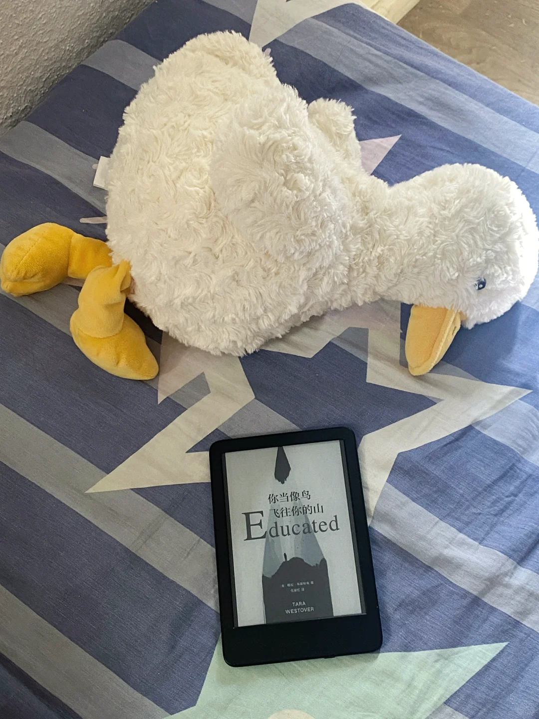 📚Kindle选购&使用感受分享