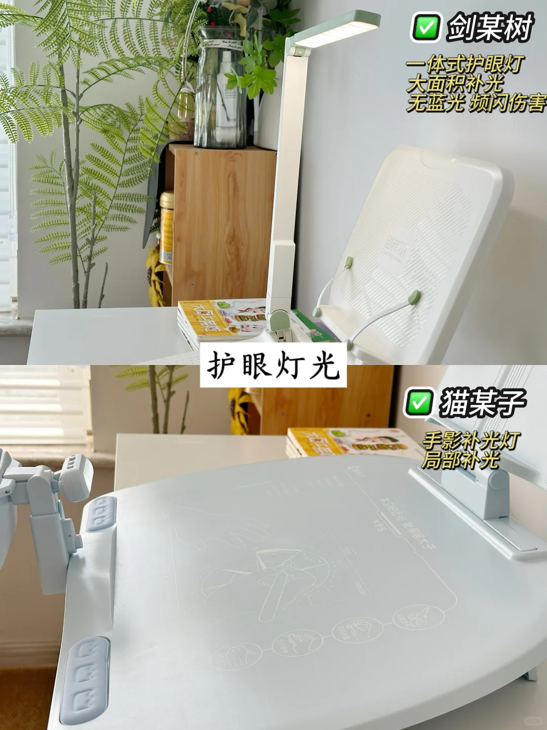 自用分享|儿童学习神器大揭秘📚