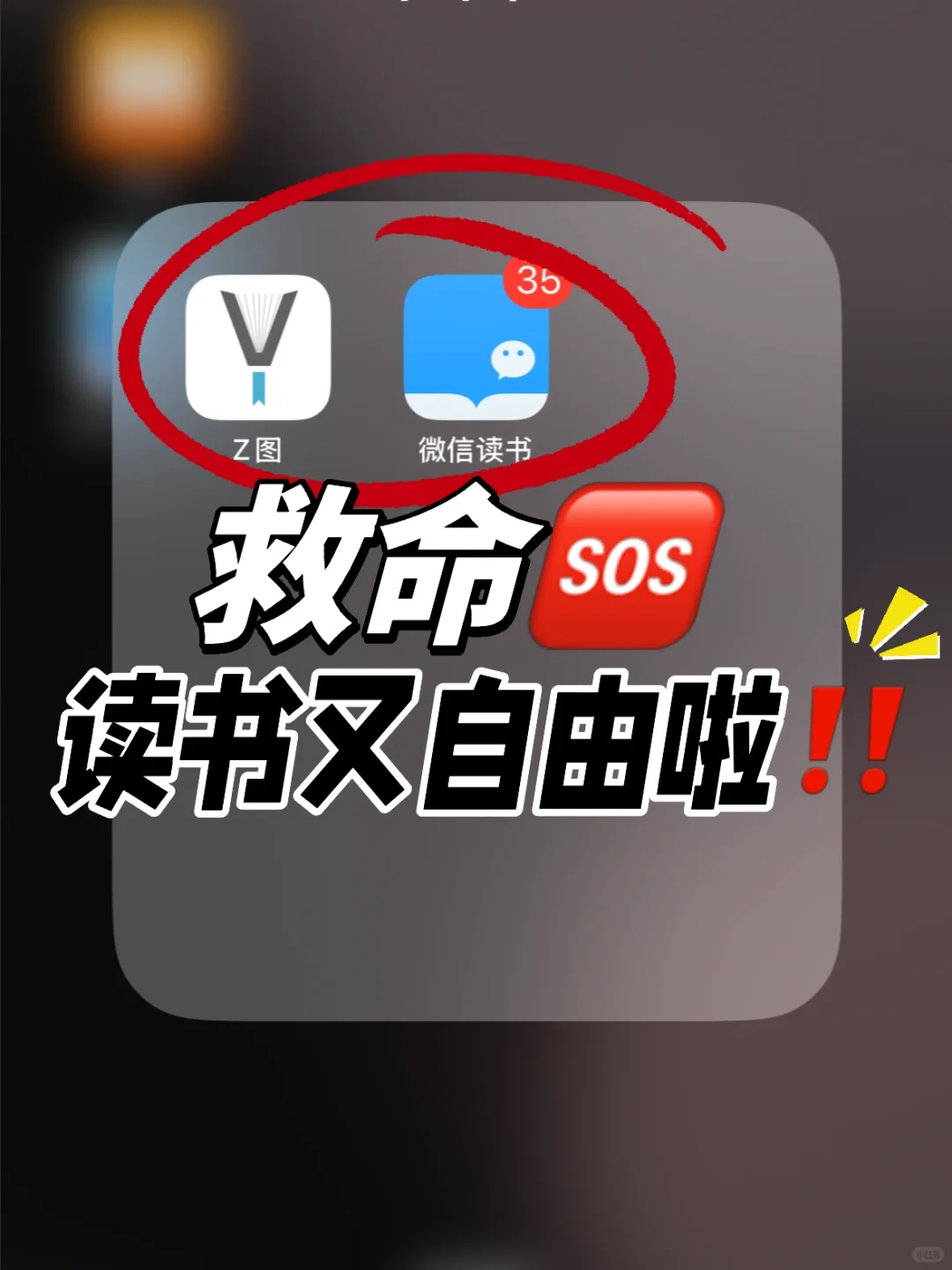每天被问爆的电子书下载方法🔥今天一次说清
