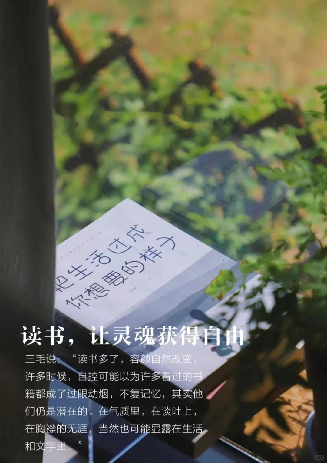 36岁最好的生活方式：早起、读书、运动！