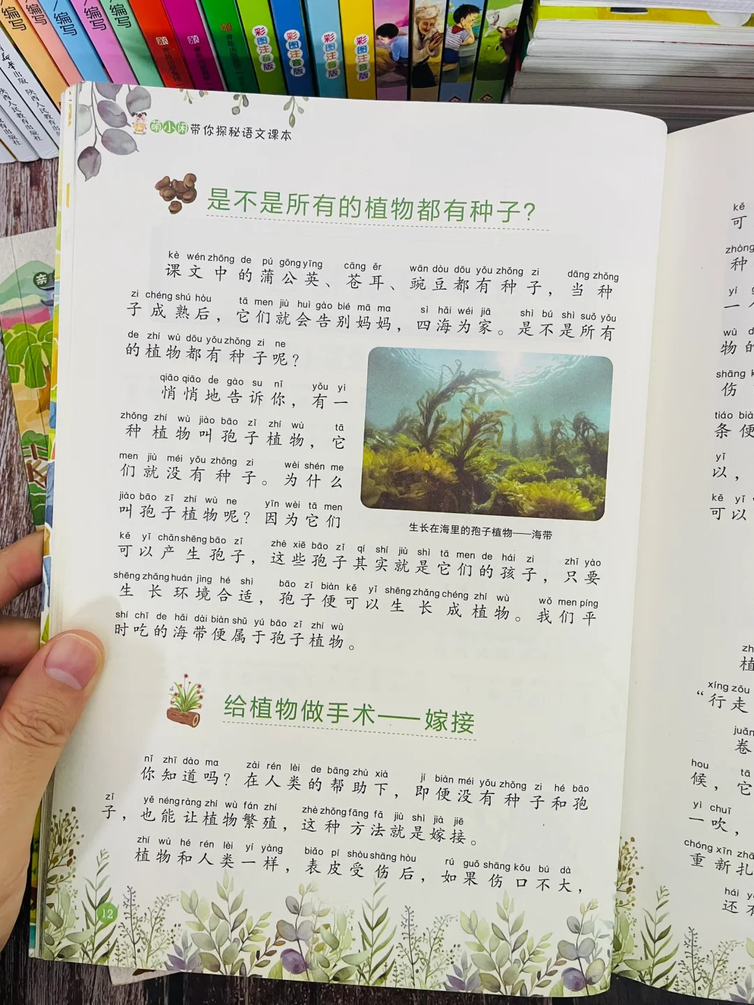我发现一二年级掉队的孩子，通病是：阅读量少