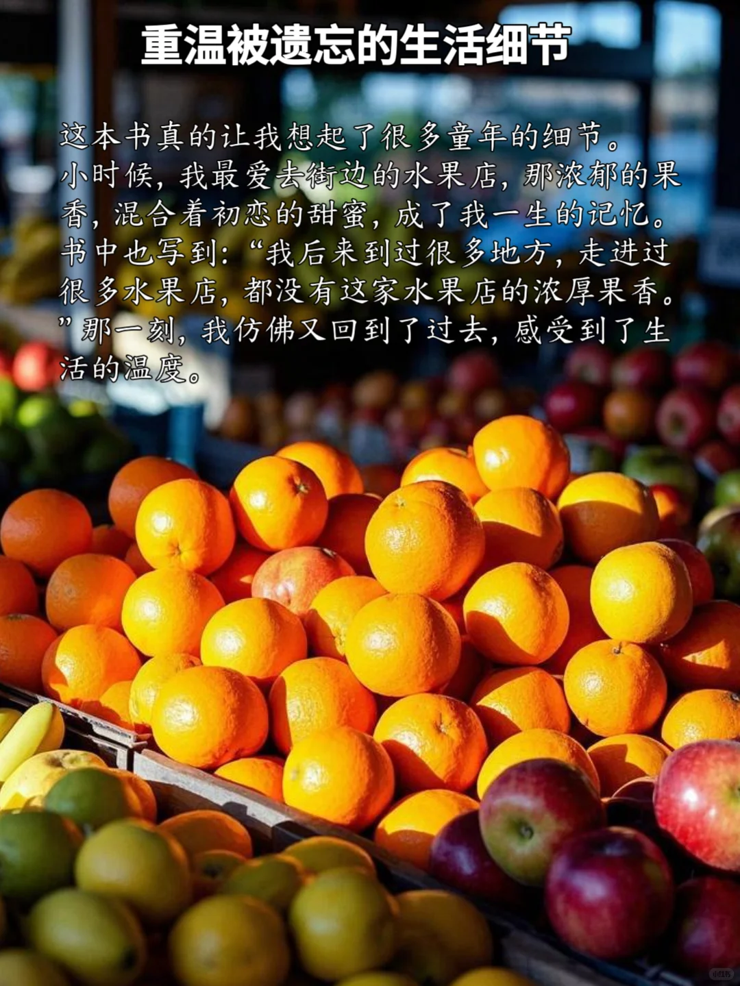 《生活是很好玩的》：原来生活可以如此有趣