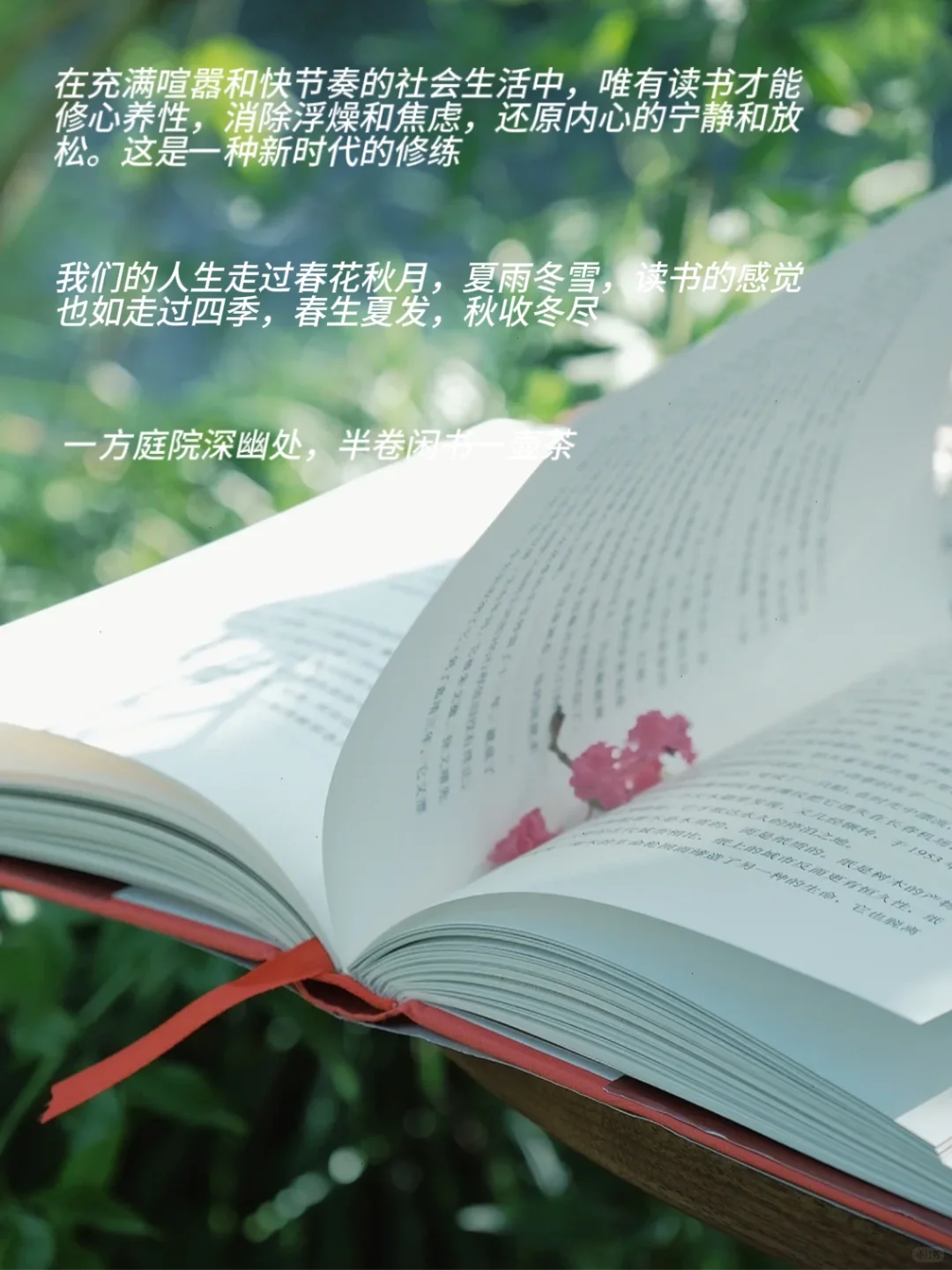 读书的意义，这是我听过蕞好的答案❗️❗️