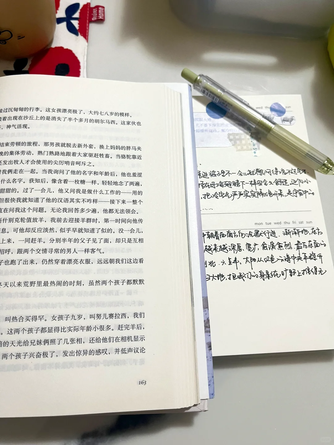 阅读｜永远会为从阅读中得到的慰藉而感动