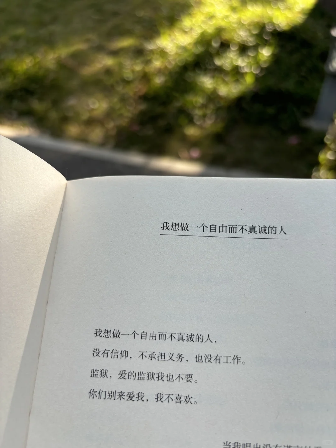 INFJ狂喜的一天……