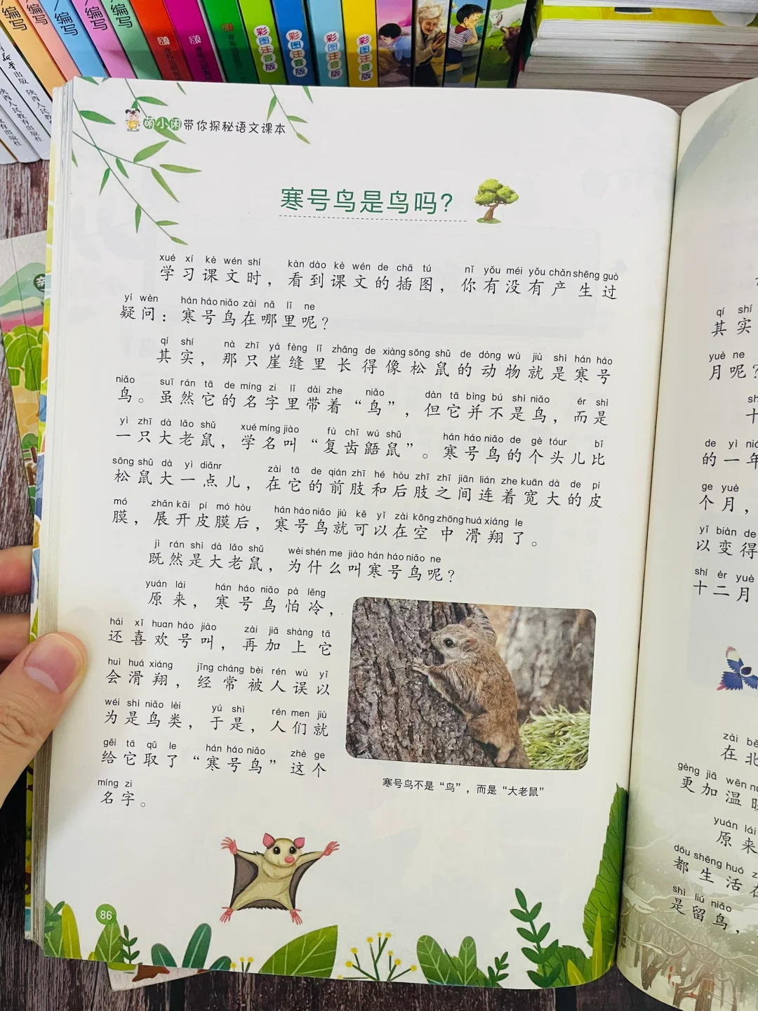 我发现一二年级掉队的孩子，通病是：阅读量少