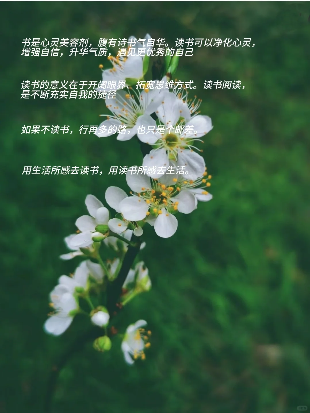 读书的意义，这是我听过蕞好的答案❗️❗️