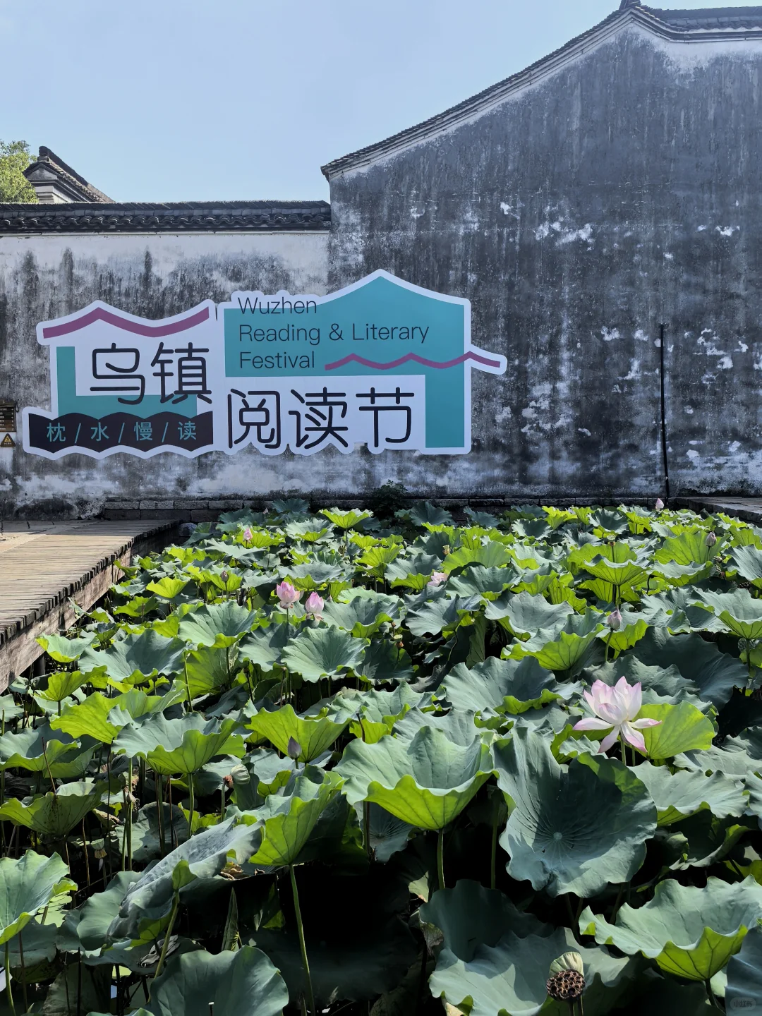一定要大量阅读，在流动的世界中锚定自我