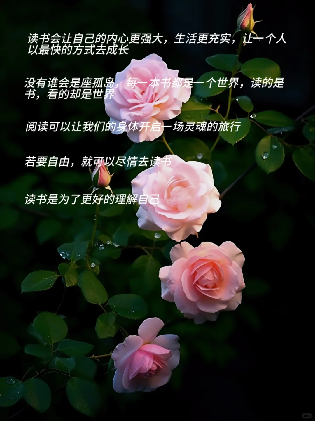 读书的意义，这是我听过蕞好的答案❗️❗️