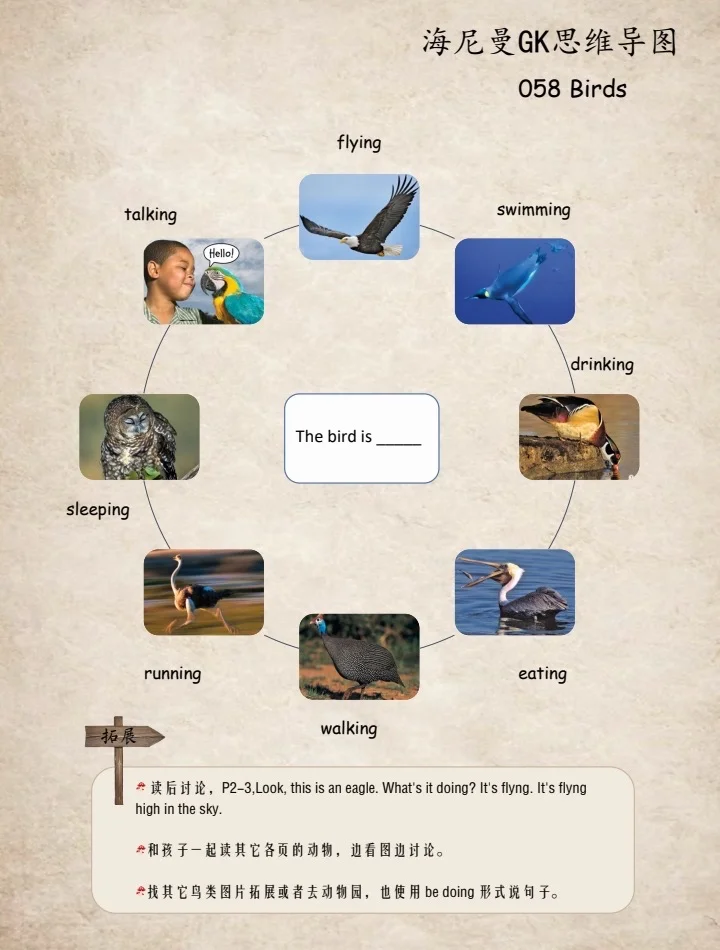 海尼曼GK思维导图｜英语启蒙神器