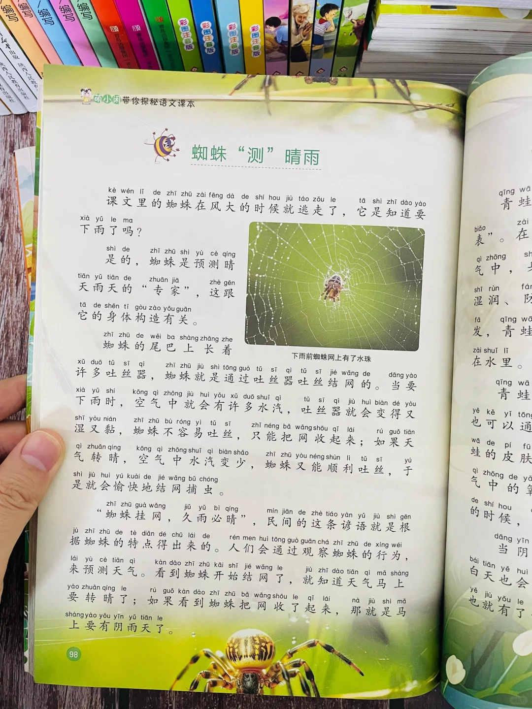 我发现一二年级掉队的孩子，通病是：阅读量少