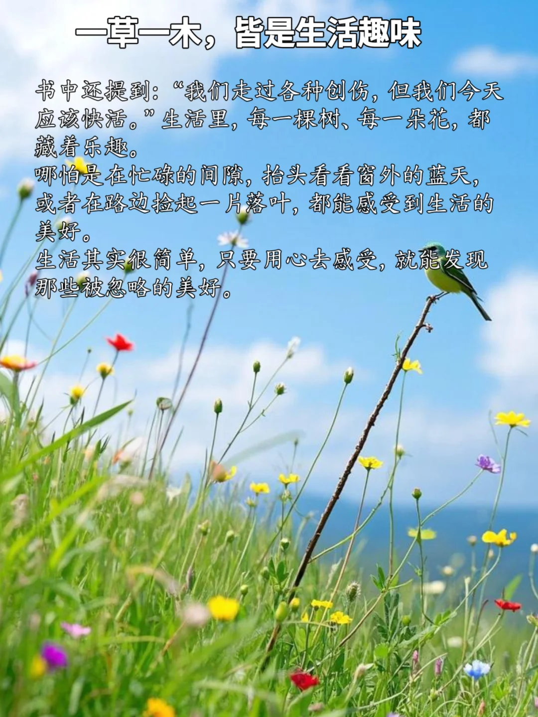《生活是很好玩的》：原来生活可以如此有趣