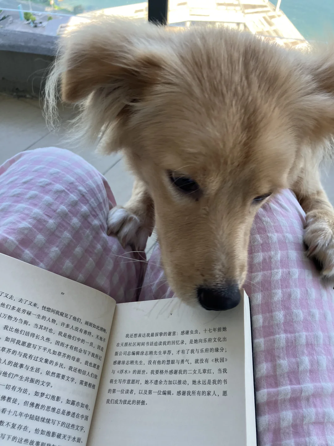 还得是大屏
