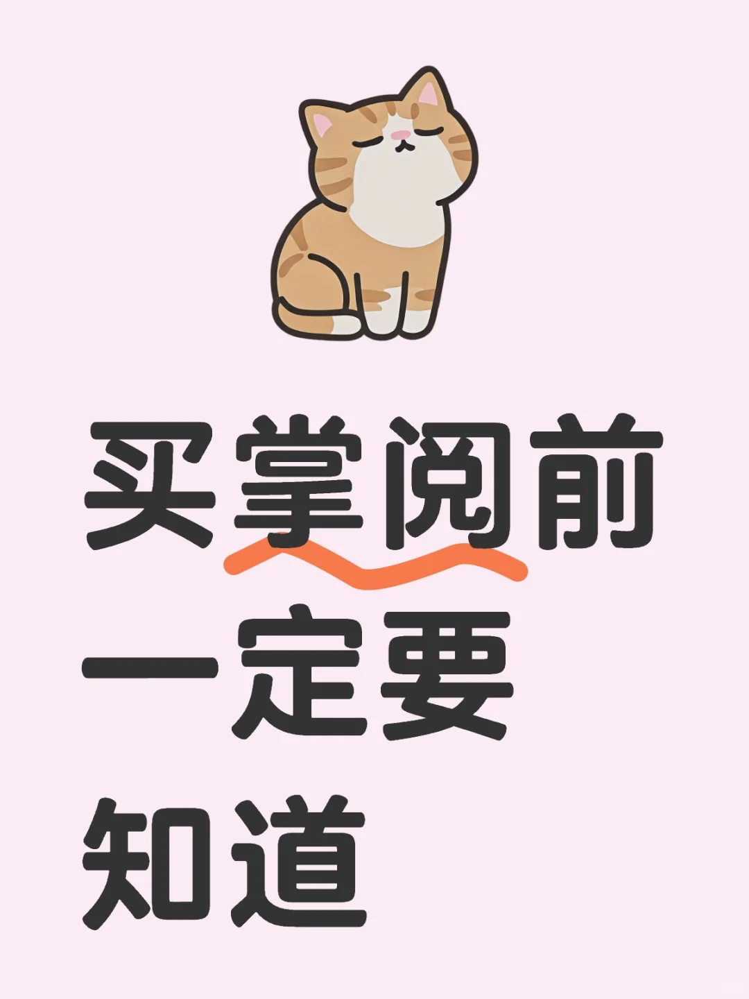 买掌阅前一定要知道