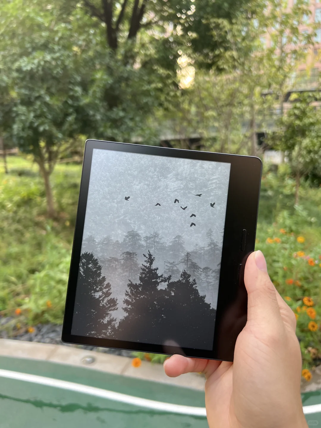 🌿暑期伴侣｜iReader 陪我走过的风景