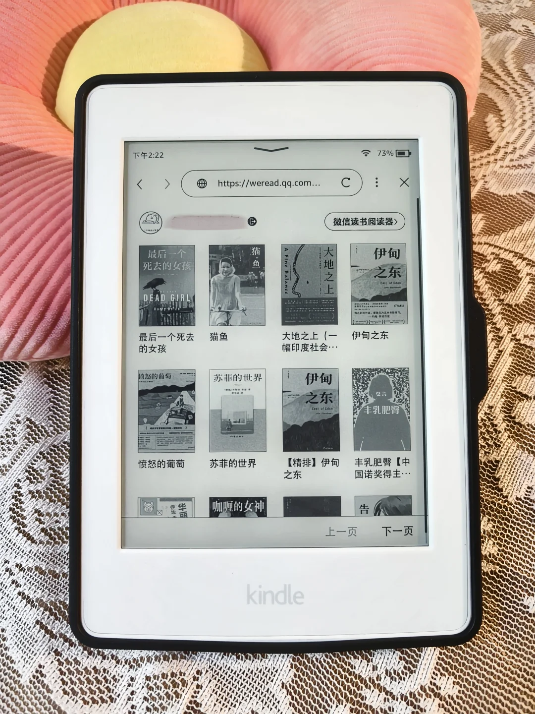 我愿称为kindle最强组合