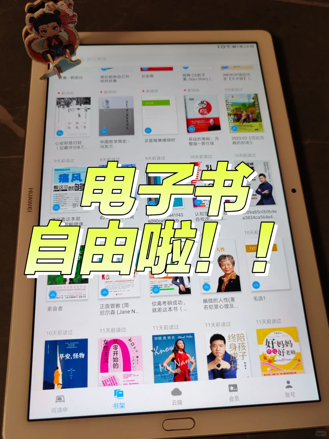 我宣布！电子书自由的快乐被我拿捏了