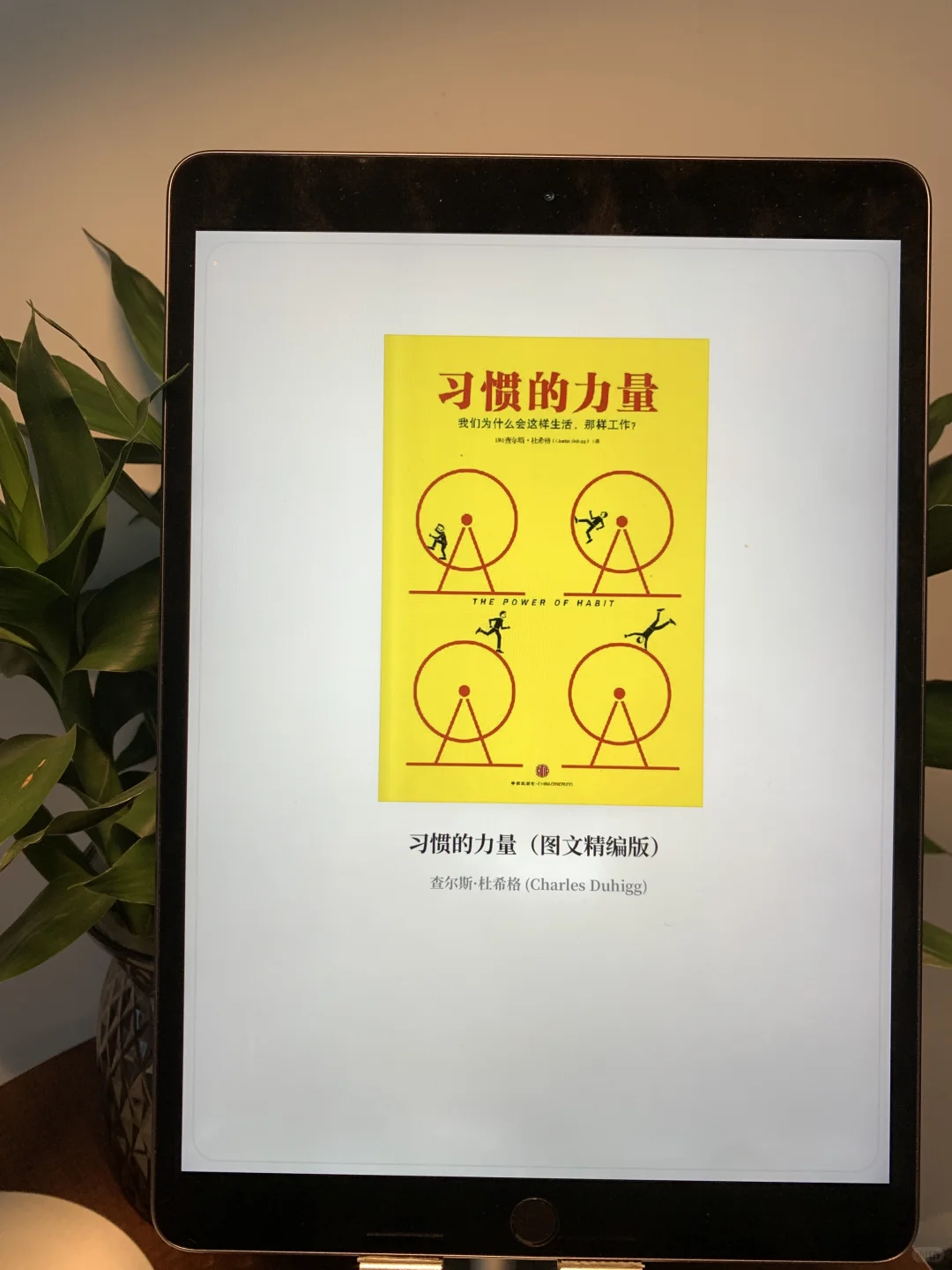 📣 我终于实现了真正的电子书自由！焦虑拜拜