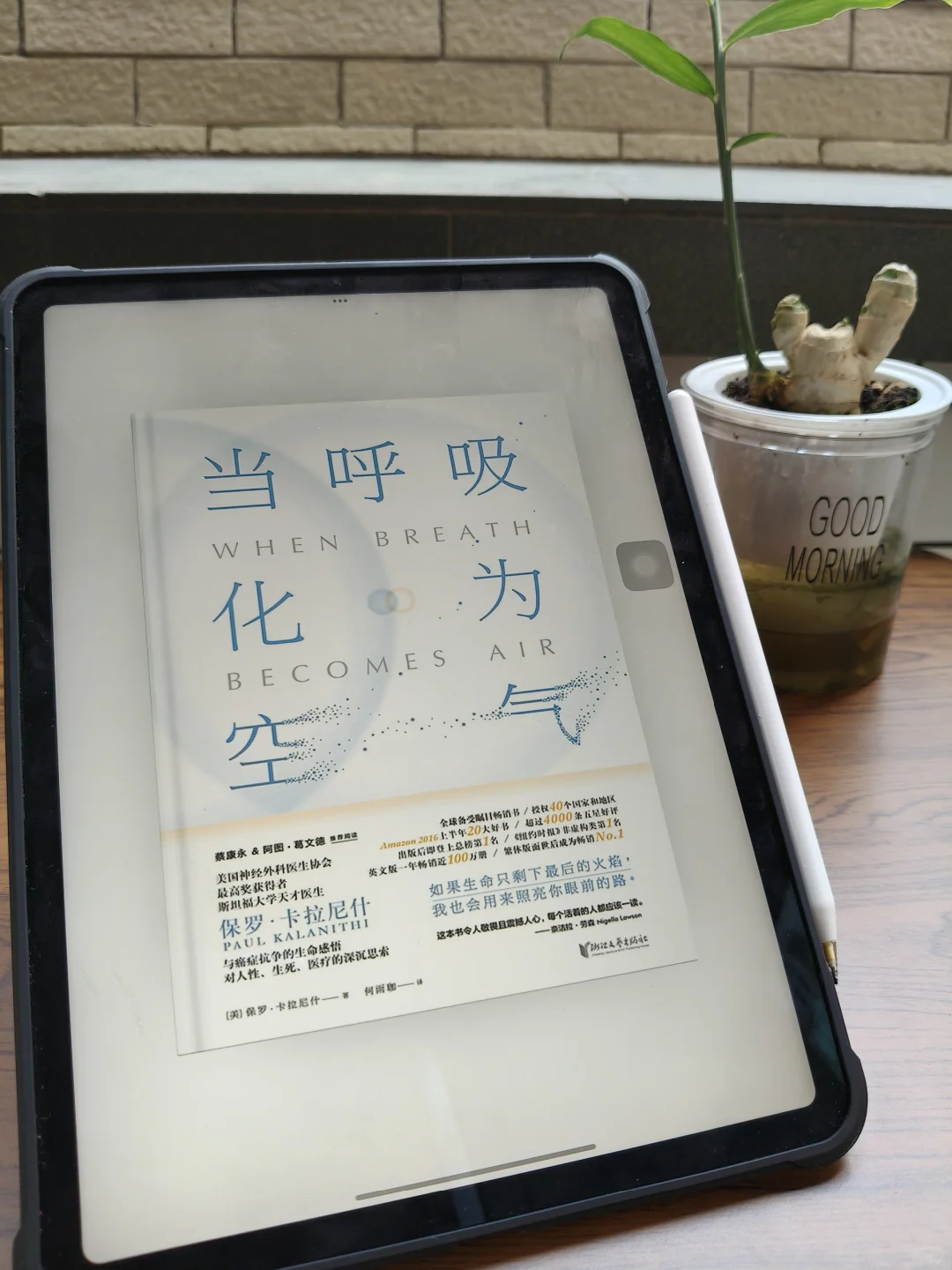 感谢小红书！我竟然实现了电子书自由！