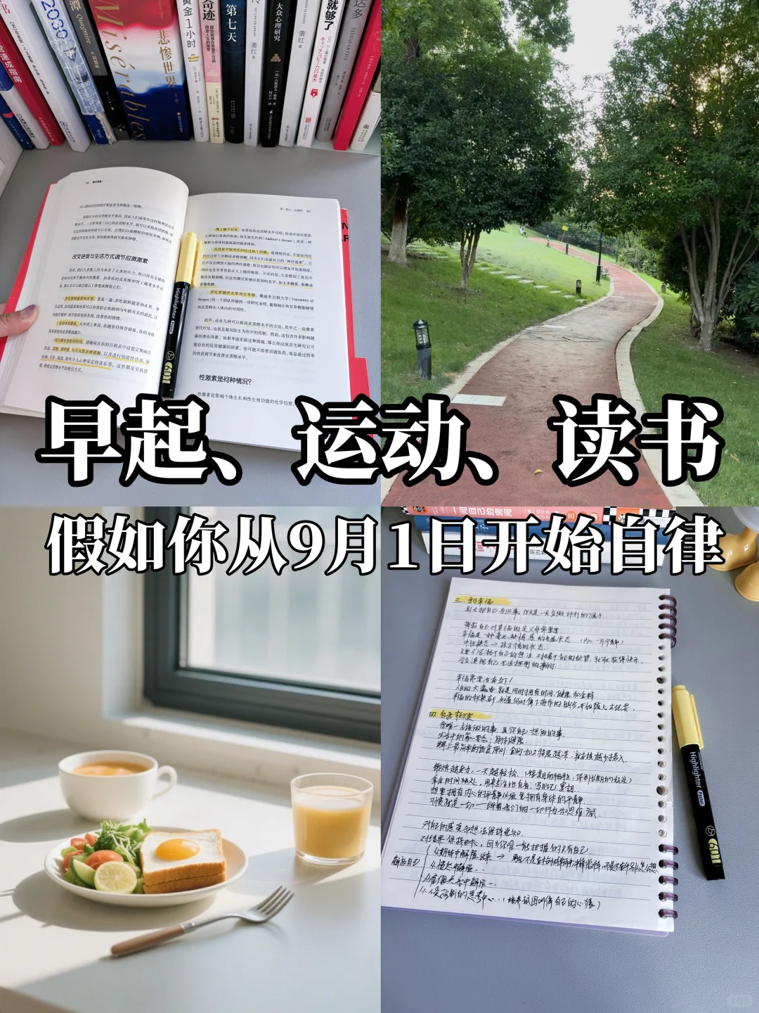 早起 运动 读书，假如你从9月1日开始自律