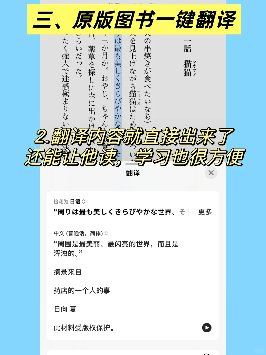 苹果看书自动翻译很香！你一定要知道