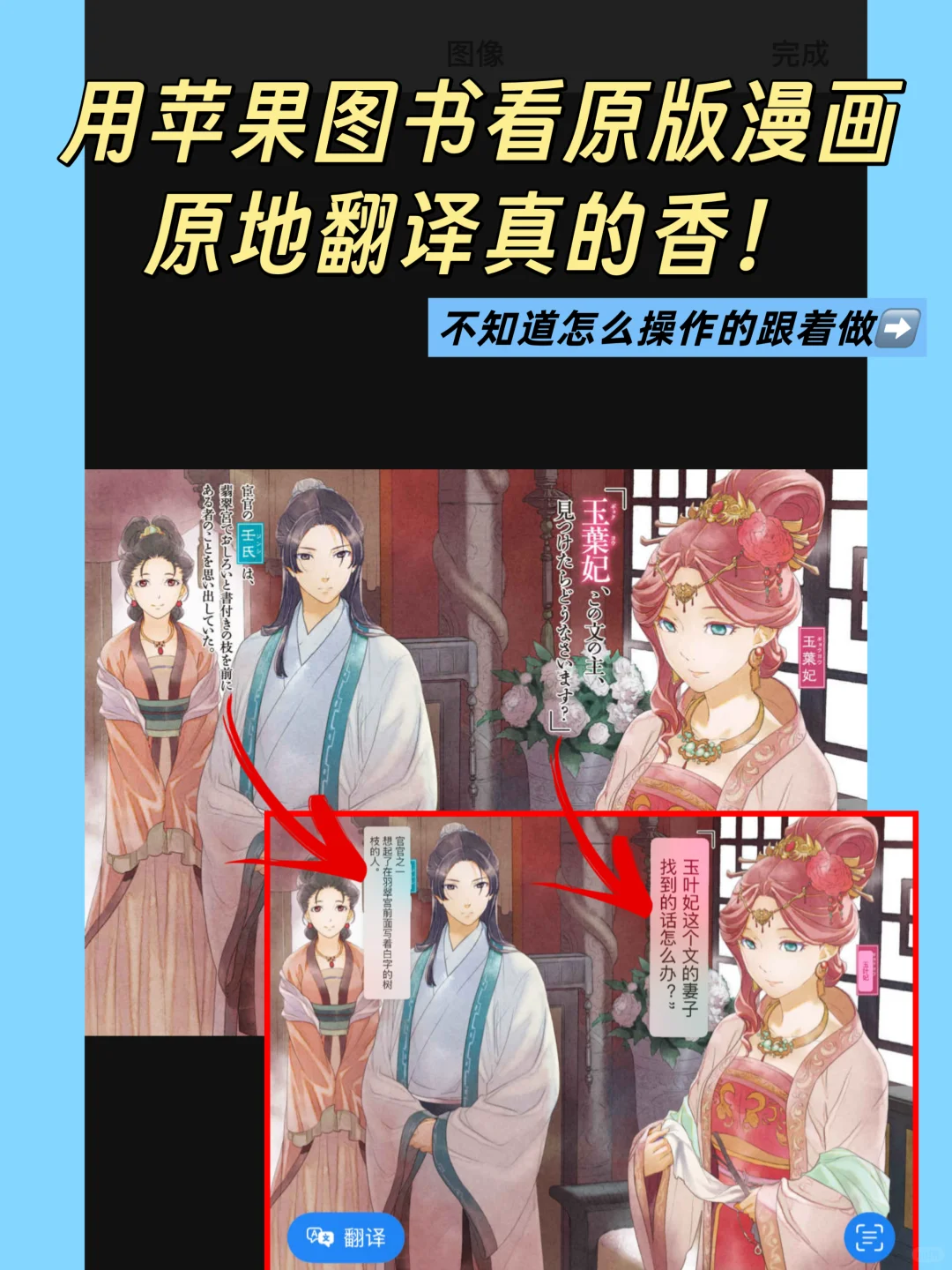 苹果看书自动翻译很香！你一定要知道