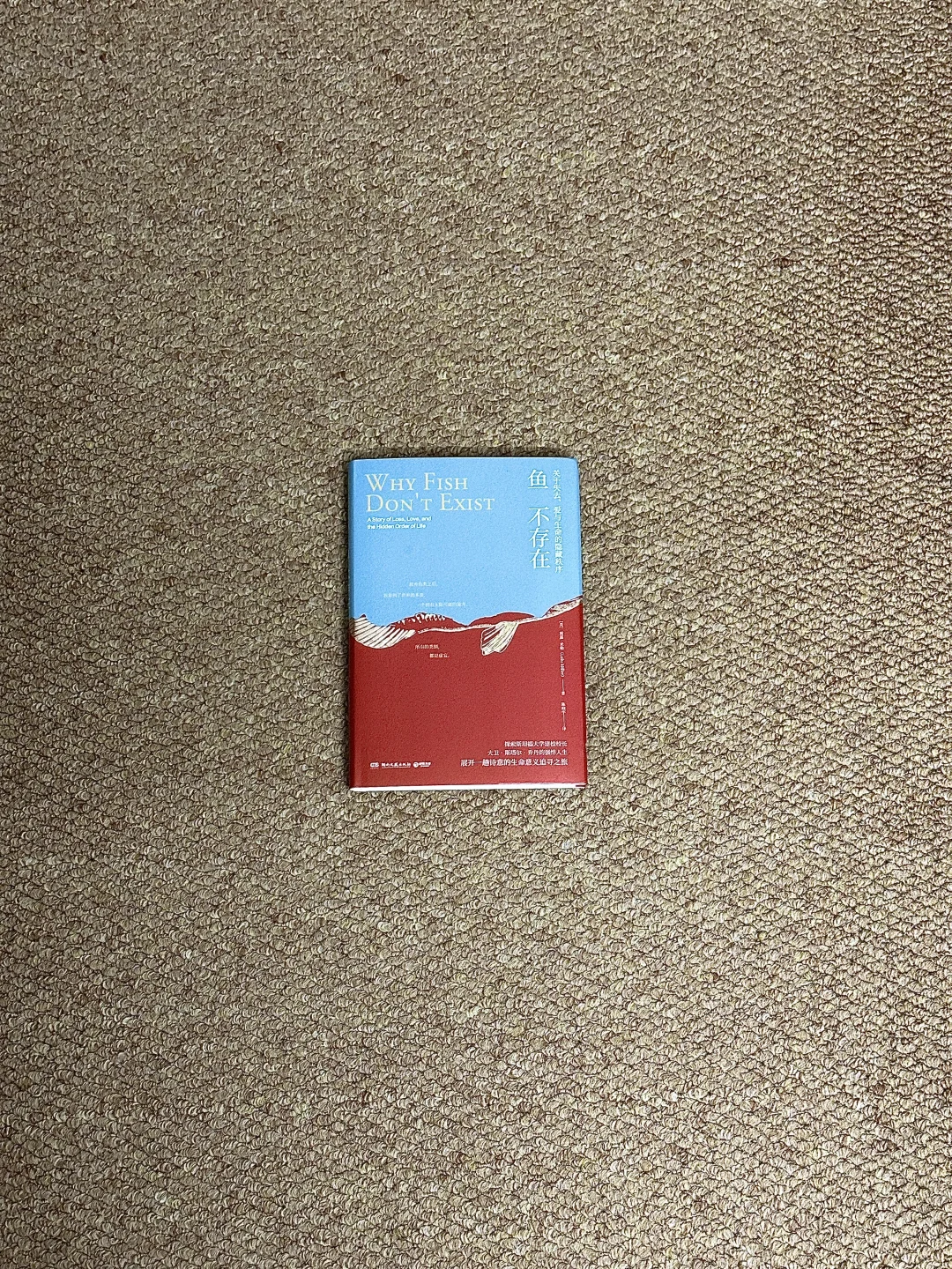 我今年读过最有意义的书，读完脸皮厚了不少。