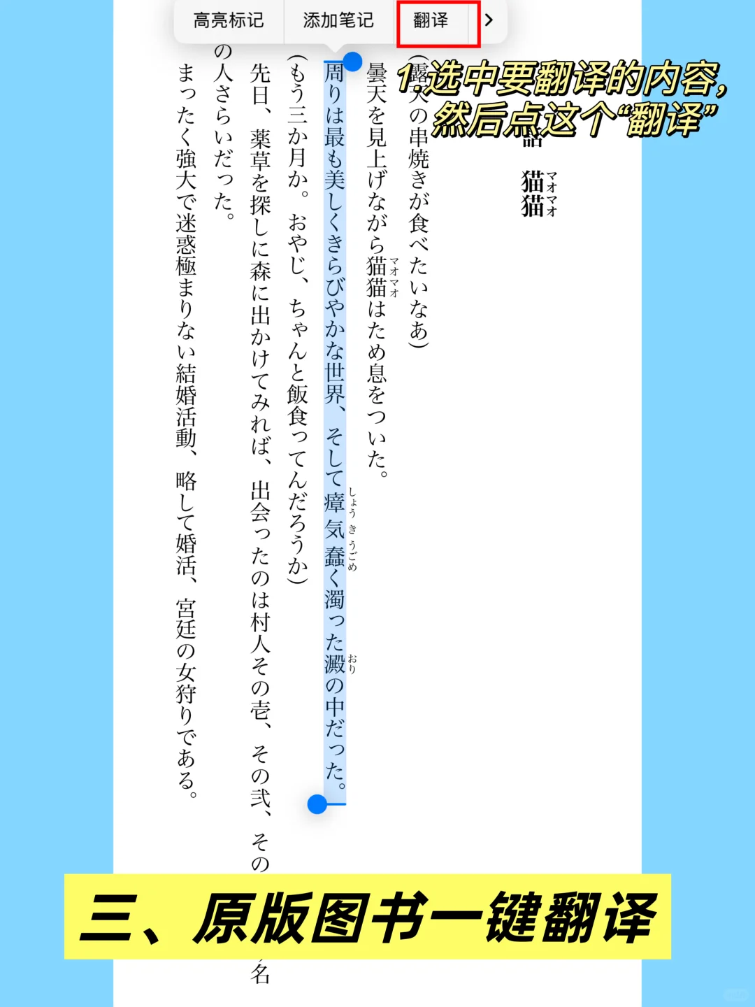 苹果看书自动翻译很香！你一定要知道