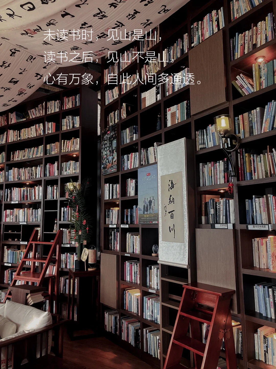 📖书读多了，女性真的会变大气✨