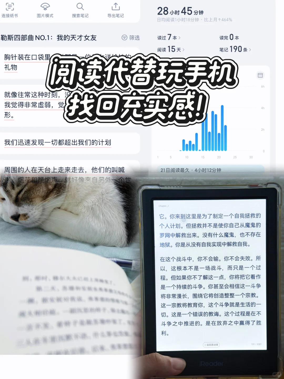 02教师暑假充电🔋｜阅读替代刷手机，找回充实