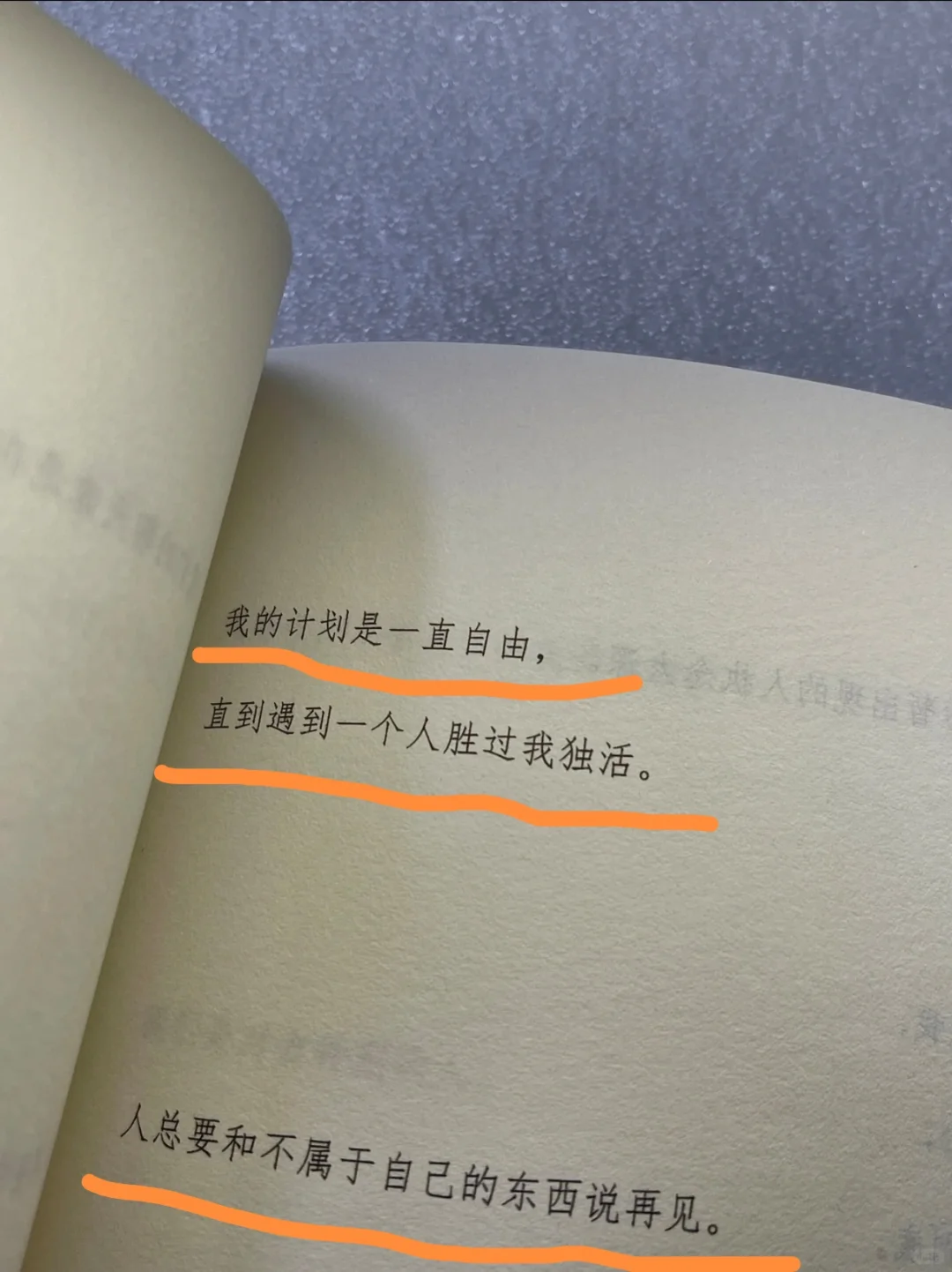我的计划是一直自由✨