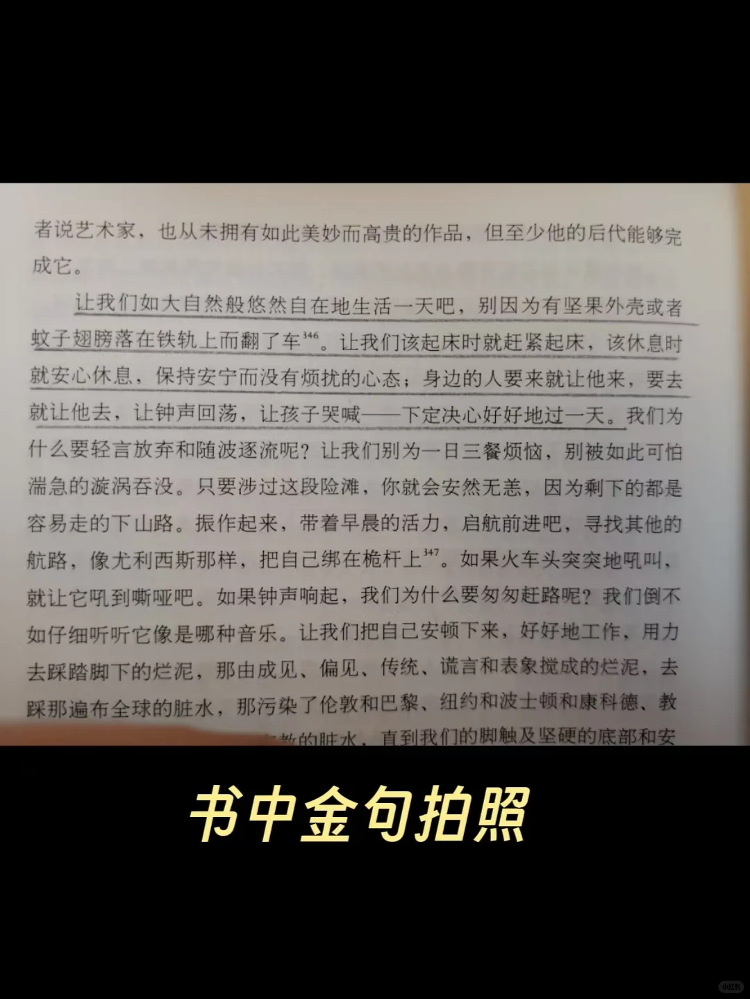 太好了！有了这个AI工具，内容博主有救了