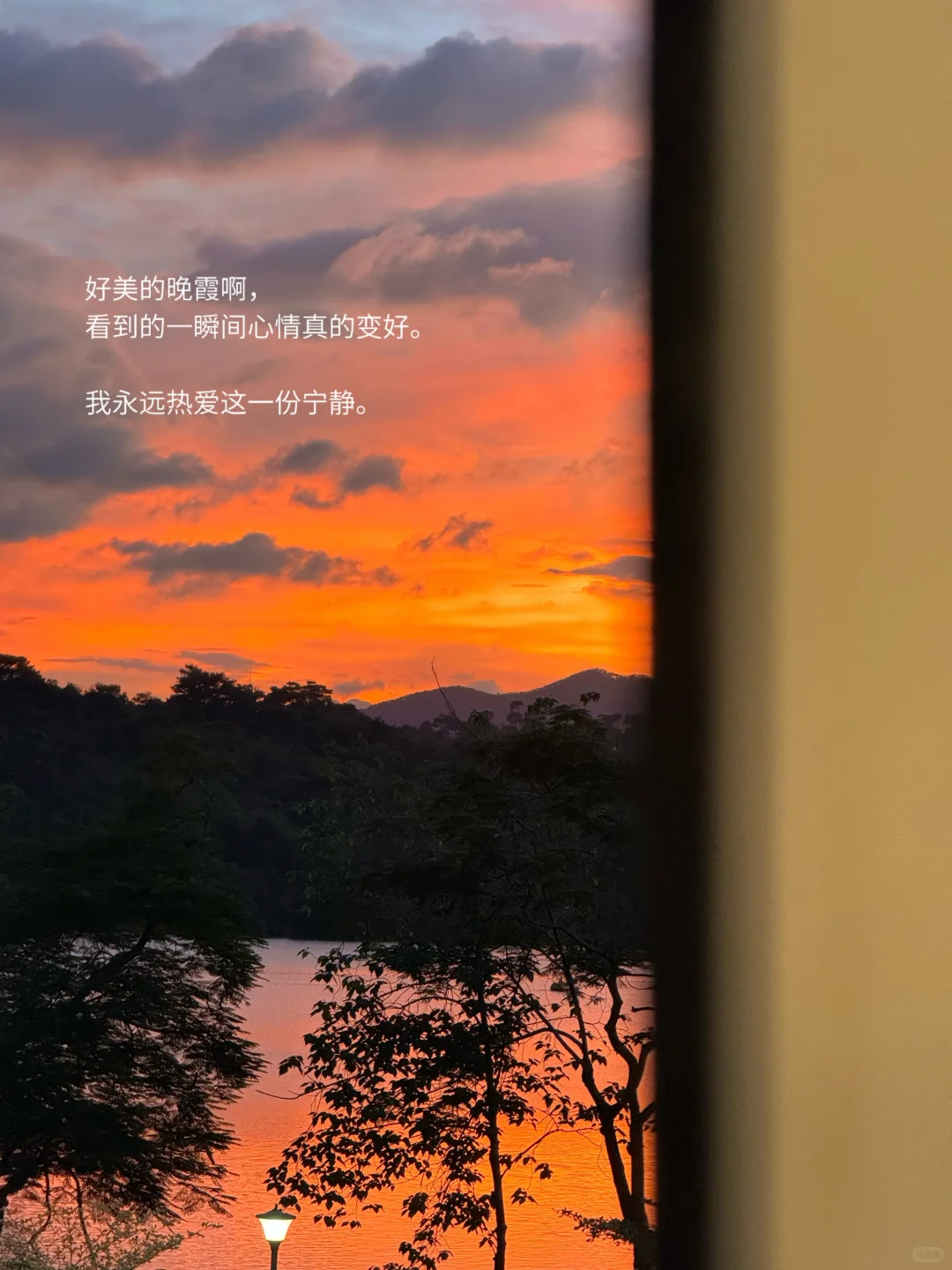 我的解压日常：独处、散步、阅读、不联系