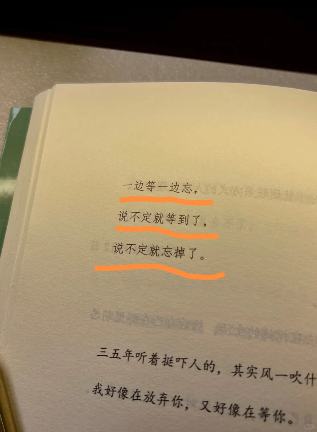 我的计划是一直自由✨