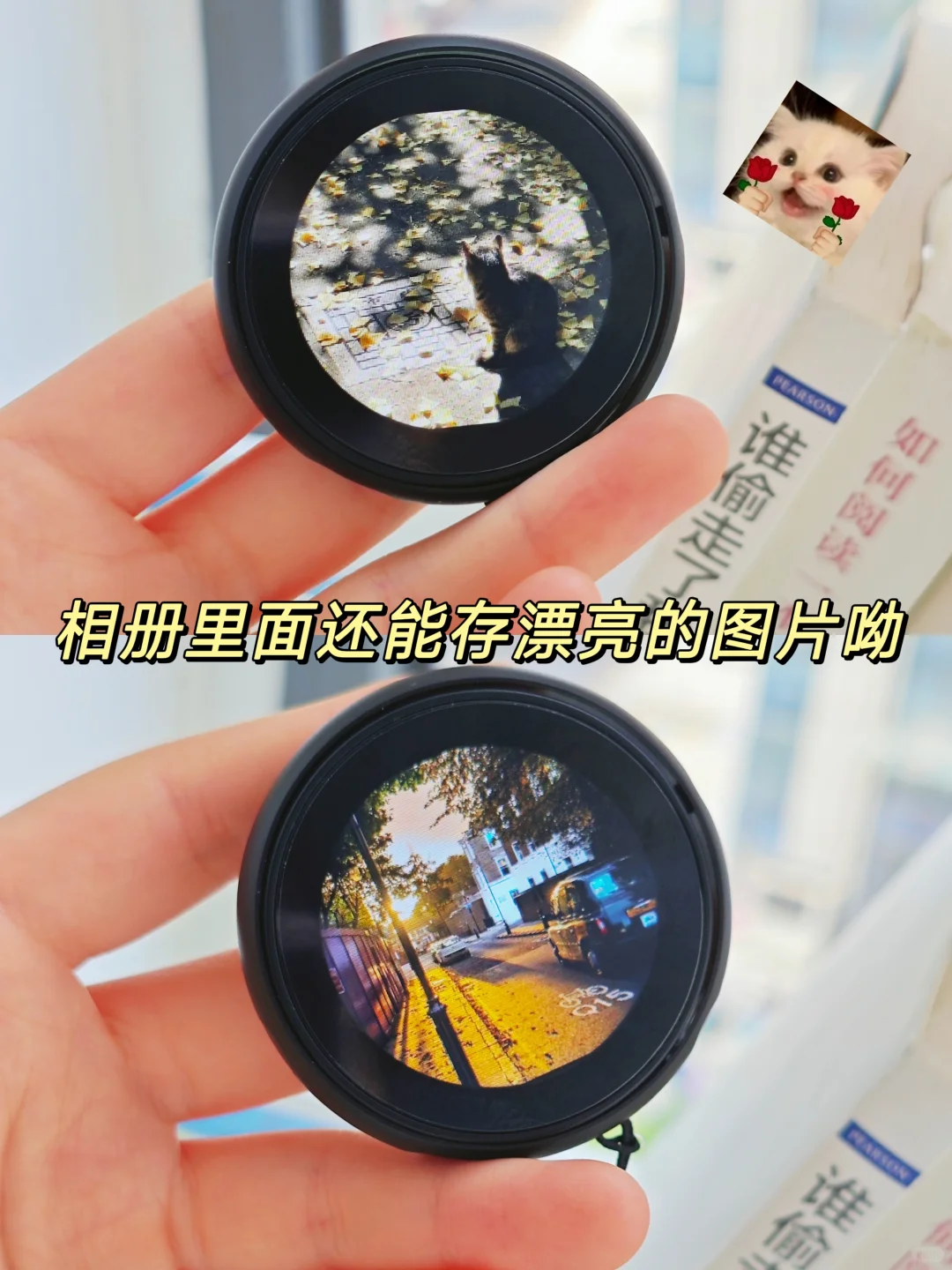 学生党爱上了，不用联网耶…