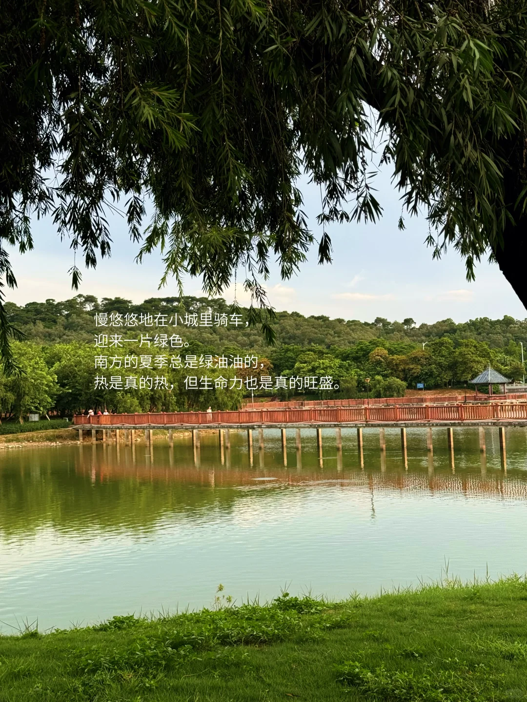 我的解压日常：独处、散步、阅读、不联系